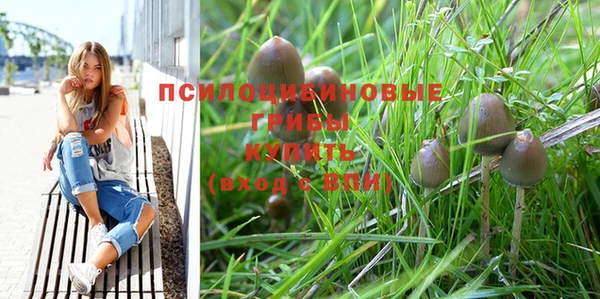 МДМА Заволжск