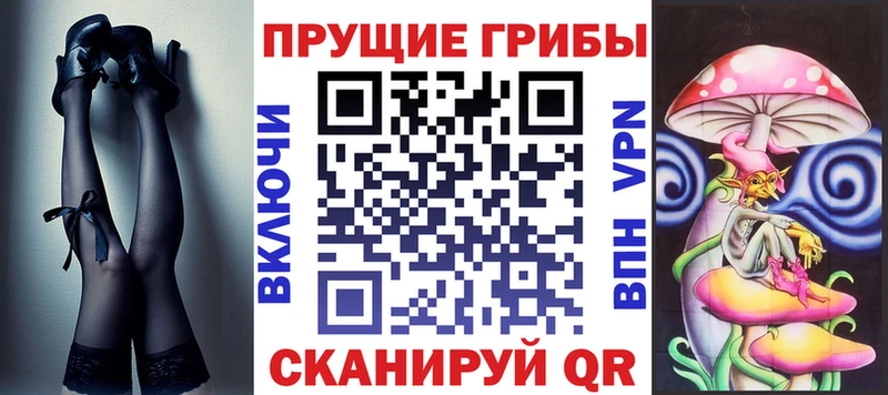 Купить  Красавино  Псилоцибиновые грибы Psilocybe 